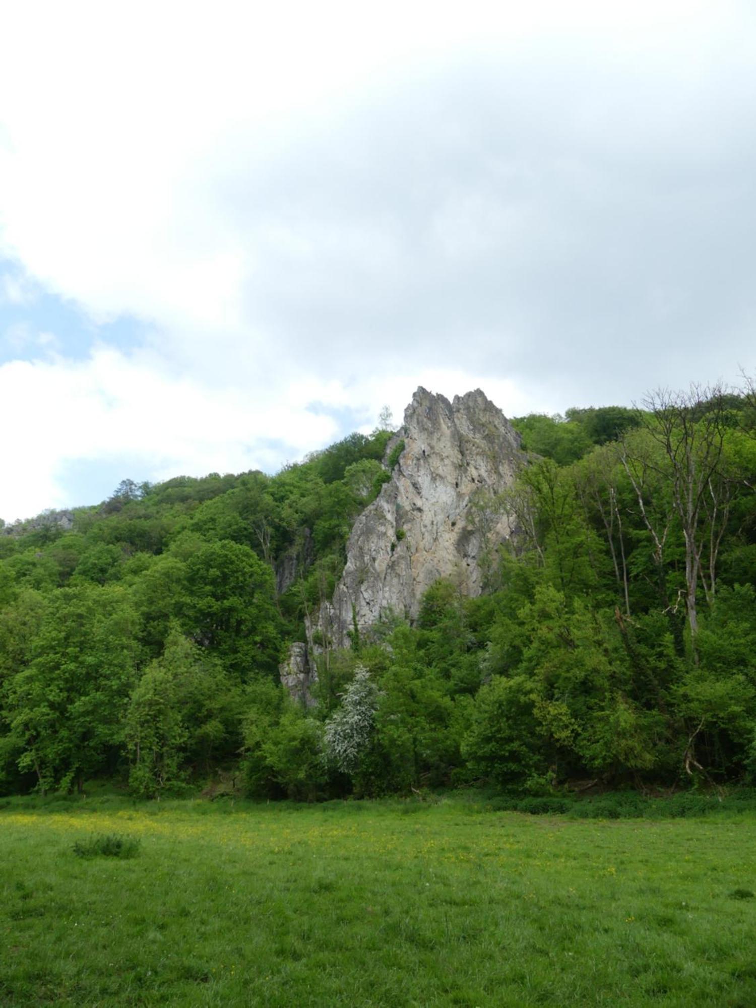 Au Bois Charmant Waulsort ภายนอก รูปภาพ